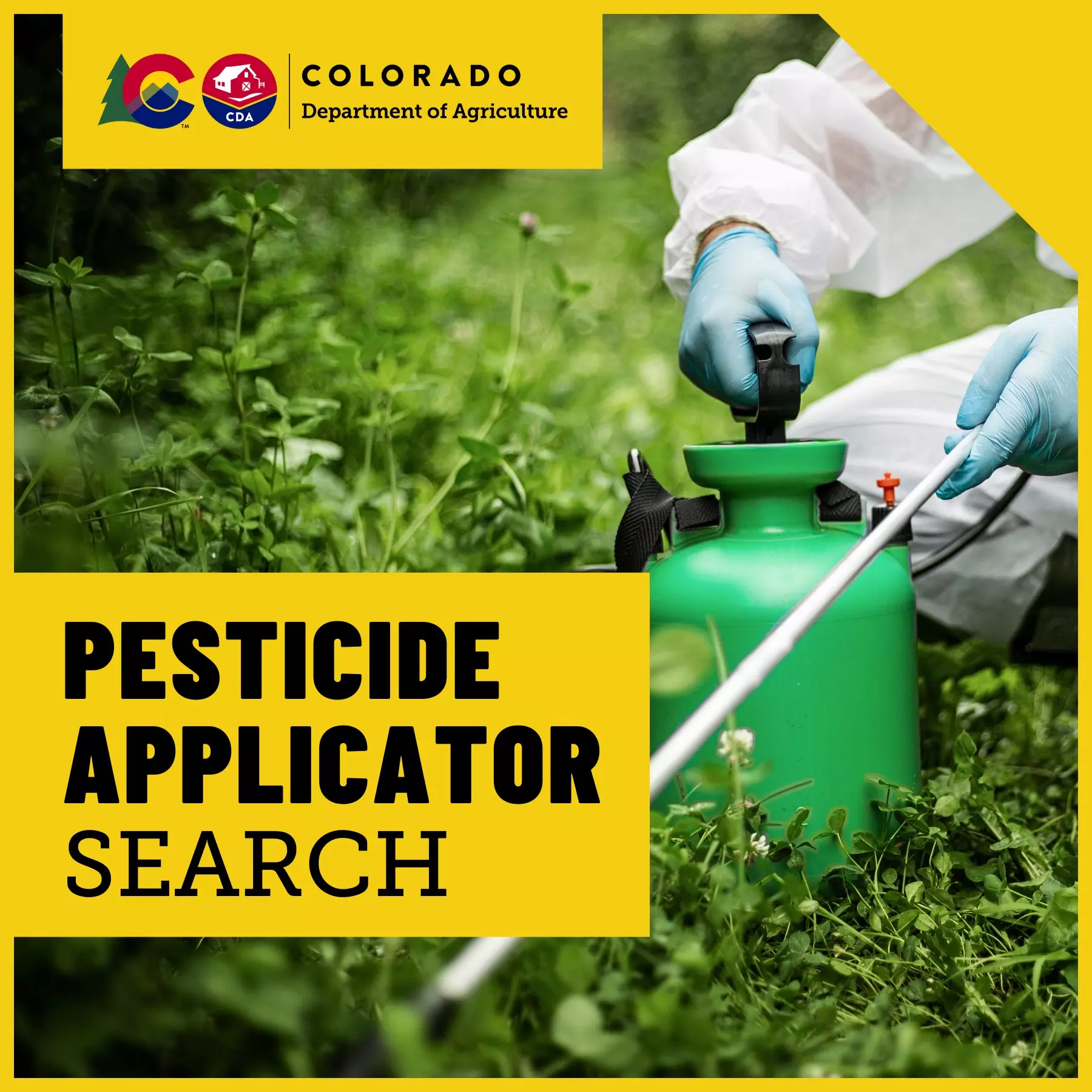 Pesticide Applicator Search Department of Agriculture
